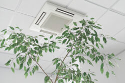 Central AC Unit in Ceiling