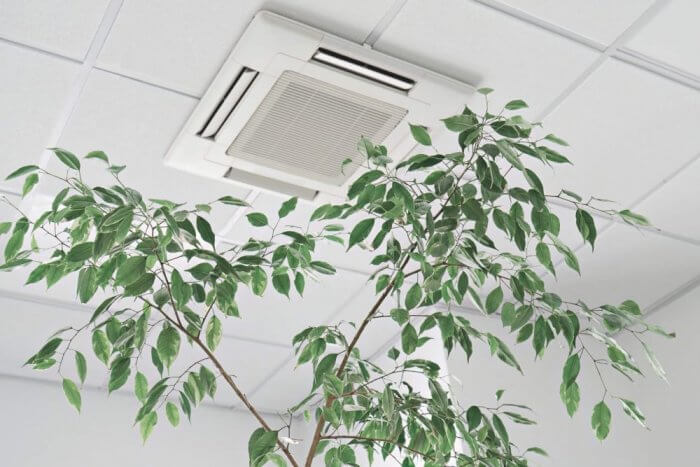 Central air system cassette unit installed in a suspended ceiling, providing discreet and efficient cooling in a bright, modern office with indoor plants. Season Control HVAC offers expert central air installations across Los Angeles, specializing in energy-saving systems and clean indoor air.
