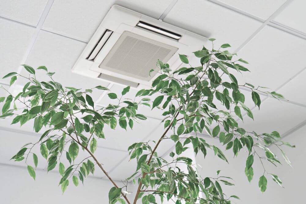 Central air system cassette unit installed in a suspended ceiling, providing discreet and efficient cooling in a bright, modern office with indoor plants. Season Control HVAC offers expert central air installations across Los Angeles, specializing in energy-saving systems and clean indoor air.